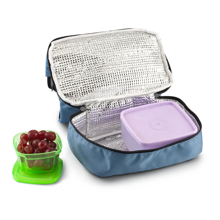 Nevera Cooler Glidex 10