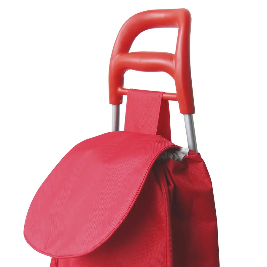 Carrito para Mercado Shopper 10