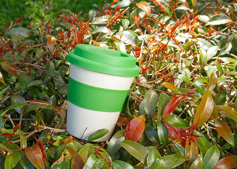 Vaso Bambú Ii 350 ml / 12 oz 19
