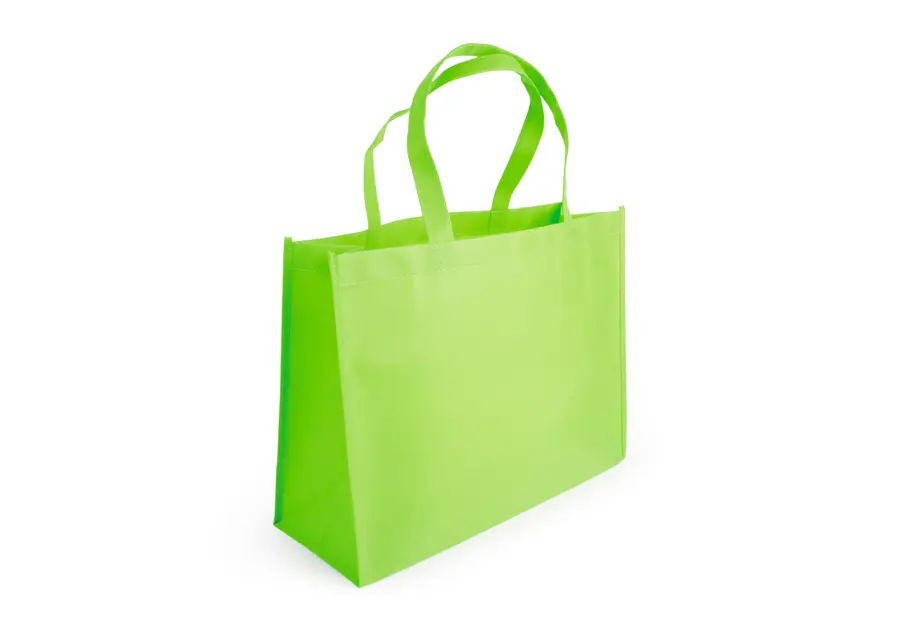 Janice Bag 13