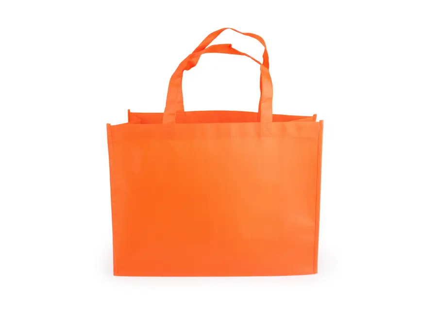Janice Bag 14