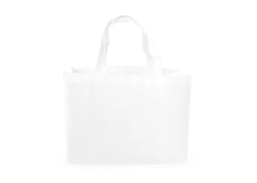 Janice Bag 19