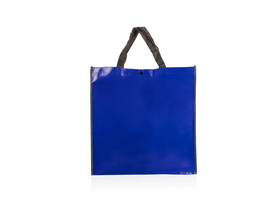 Bolsa Alicia 2