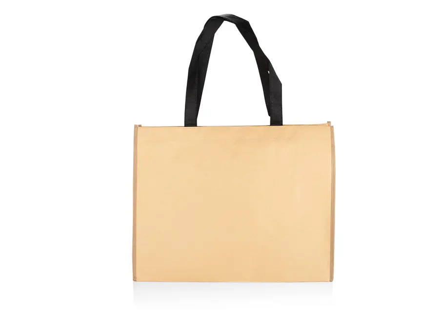 Bolsa Hoover 2