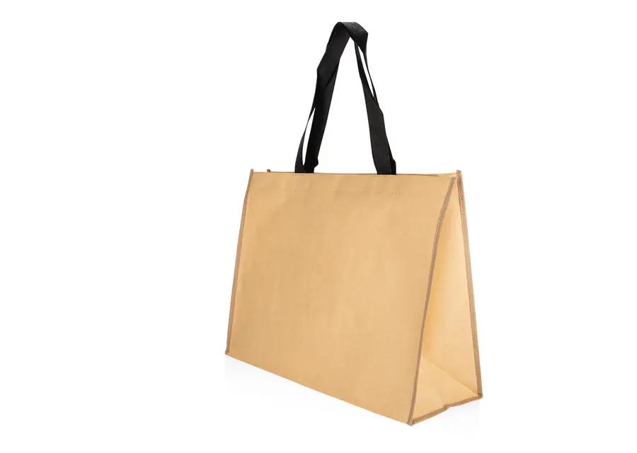Bolsa Hoover 3