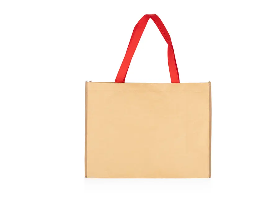 Bolsa Hoover 4