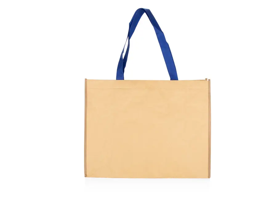 Bolsa Hoover 5
