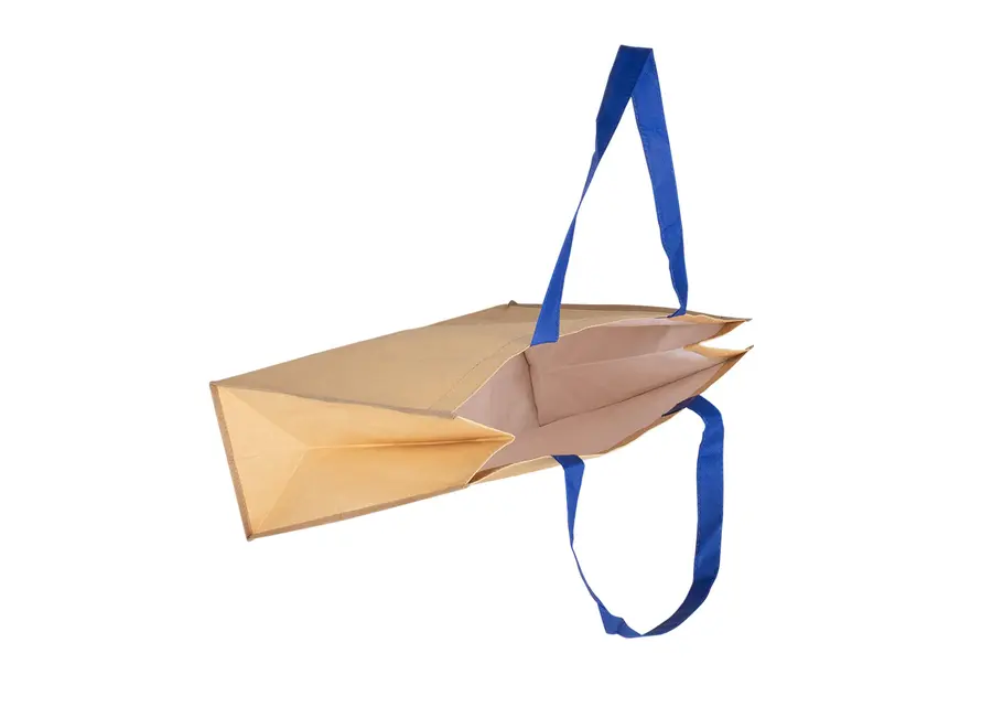 Bolsa Hoover 6