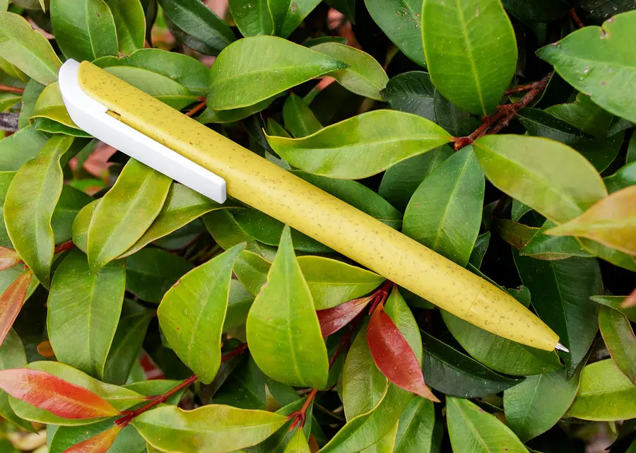 Boligrafo Irlanda 2