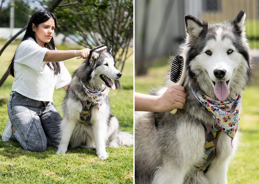 Cepillos para Mascotas Laika 6