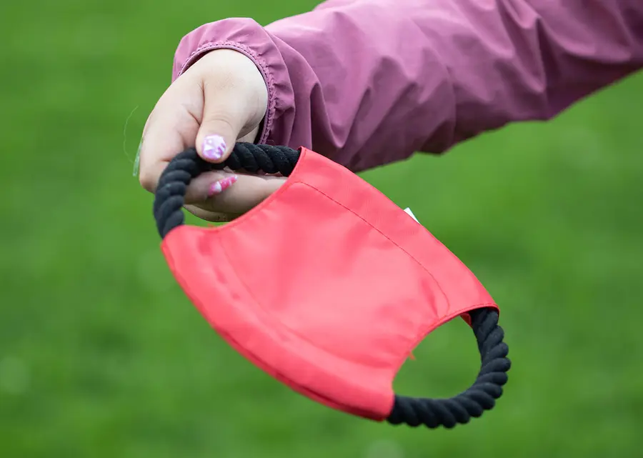 Frisby para Mascotas Hachiko 2