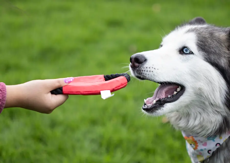 Frisby para Mascotas Hachiko 5