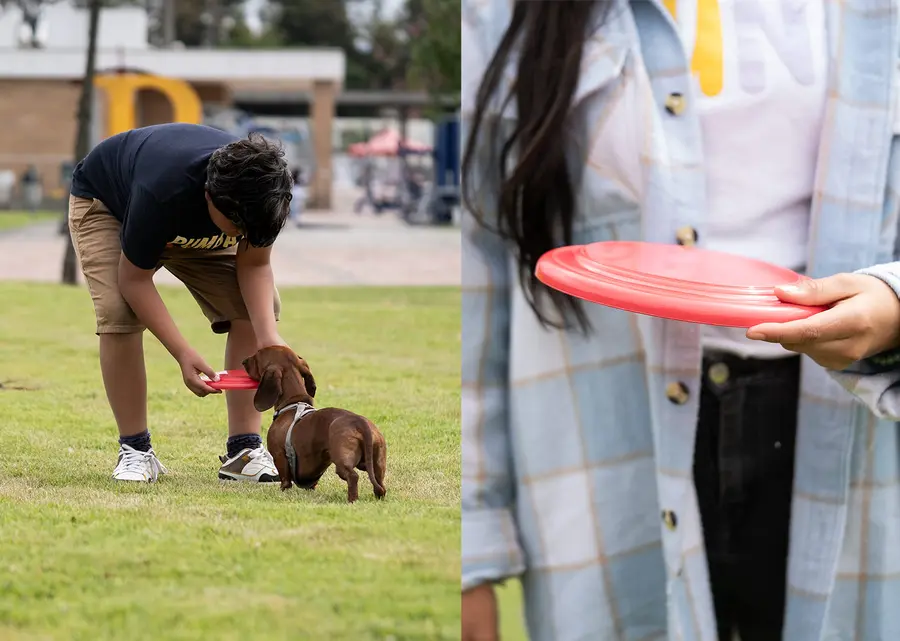 Frisby para mascotas Scrappy 13