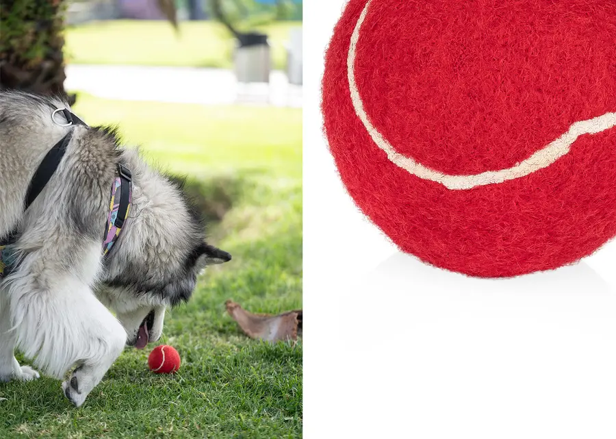Pelota para mascotas Marley 8