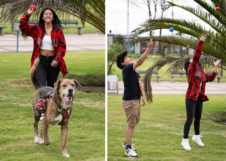 Pelota para mascotas Marley 9