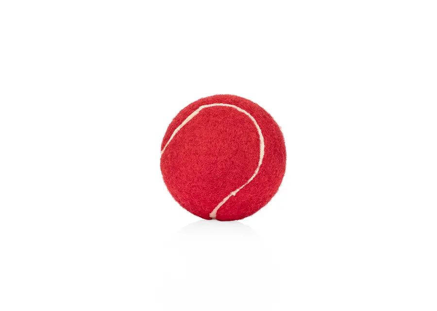 Pelota para mascotas Marley 2