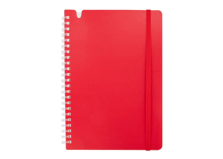 Libreta Nikola 6