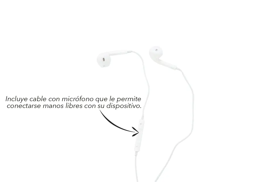 Audífonos Con Microfono Bigot 2