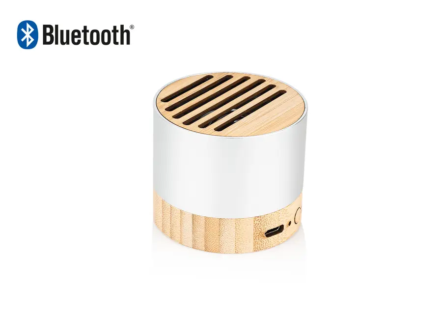 Altavoz New 2
