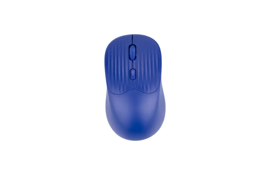 Mouse Jerry 5