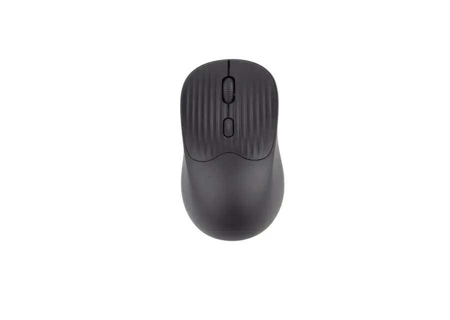 Mouse Jerry 10