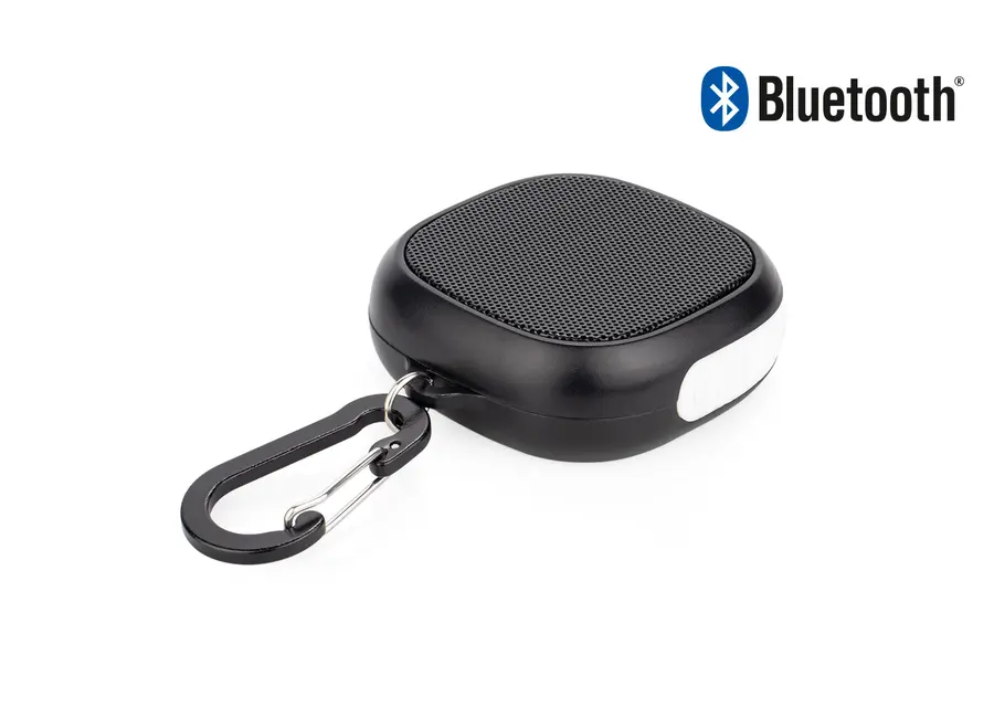 Altavoz Allegro 2