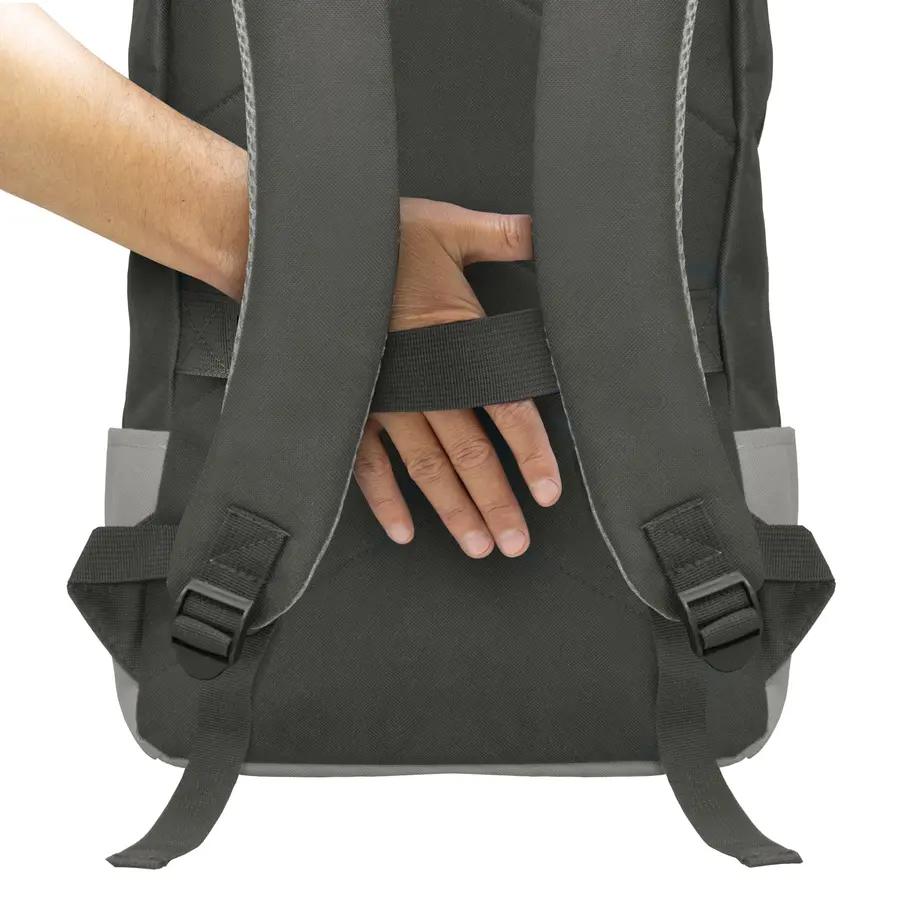 Morral MERIDIAN 26