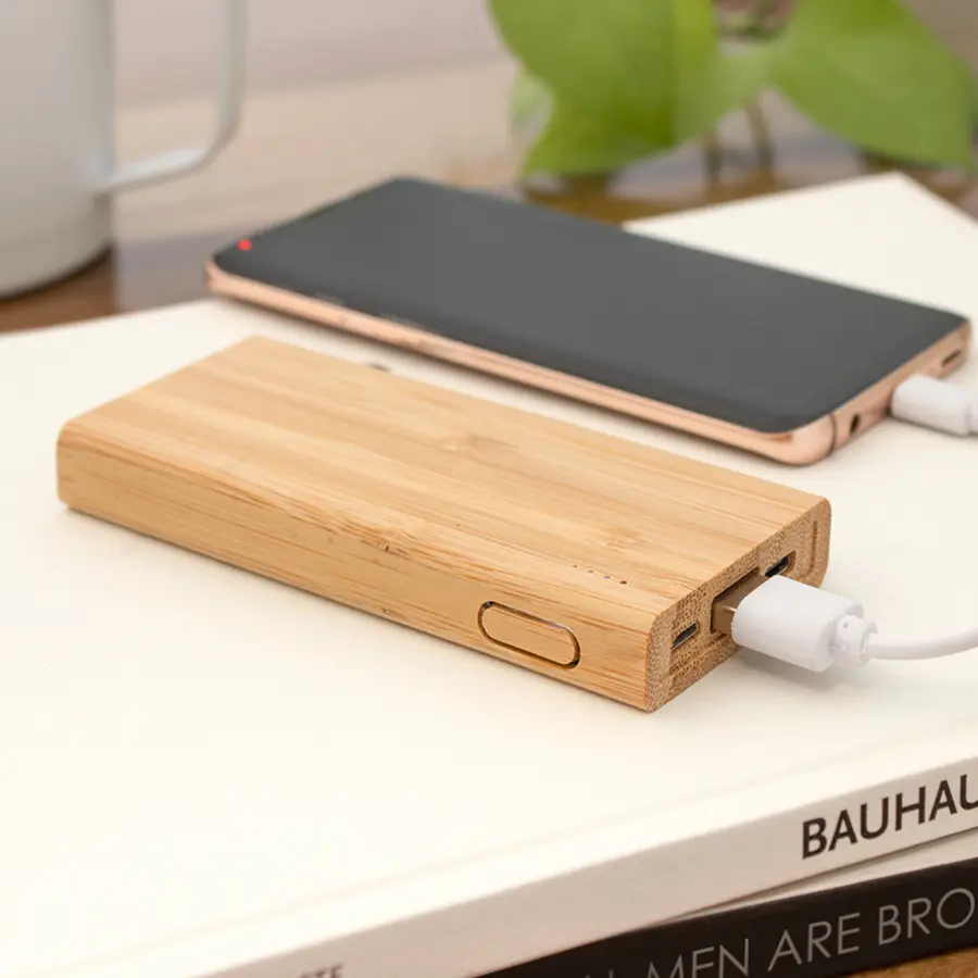 Power bank BAMBPOWER 10