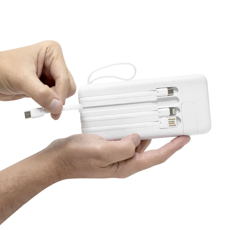PowerBank multipuerto "MICHIGAN" 10