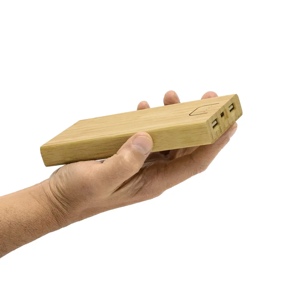 Power Bank "BAMBPOWER 2" 10