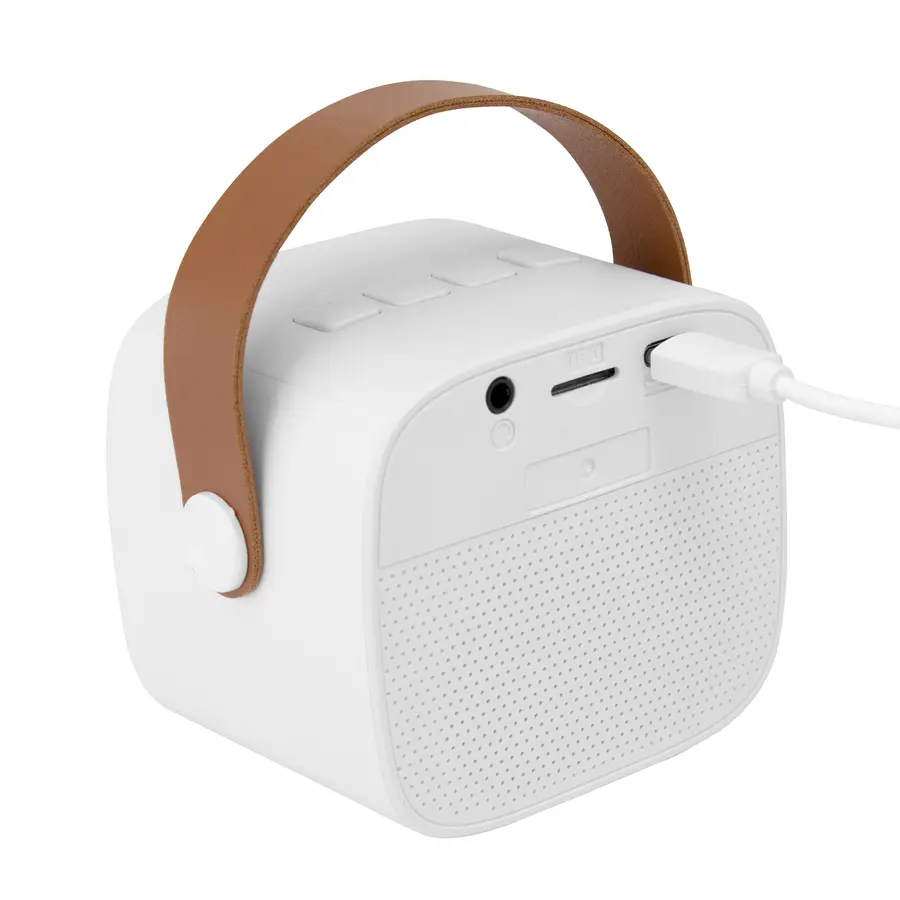 Parlante bluetooth "ELVIS" 10