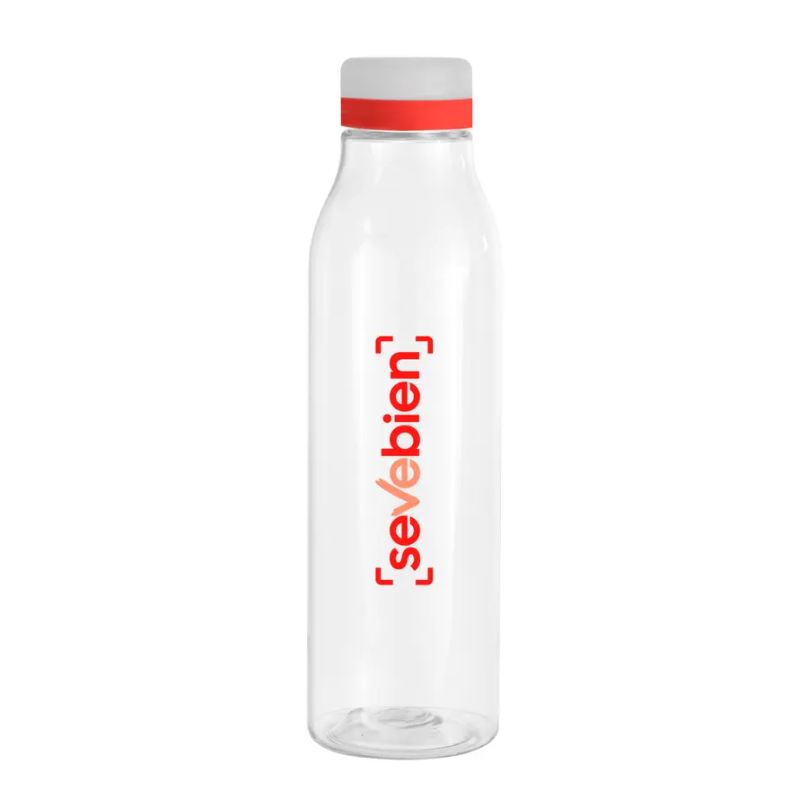 Botella "ANDINA FROST" 10
