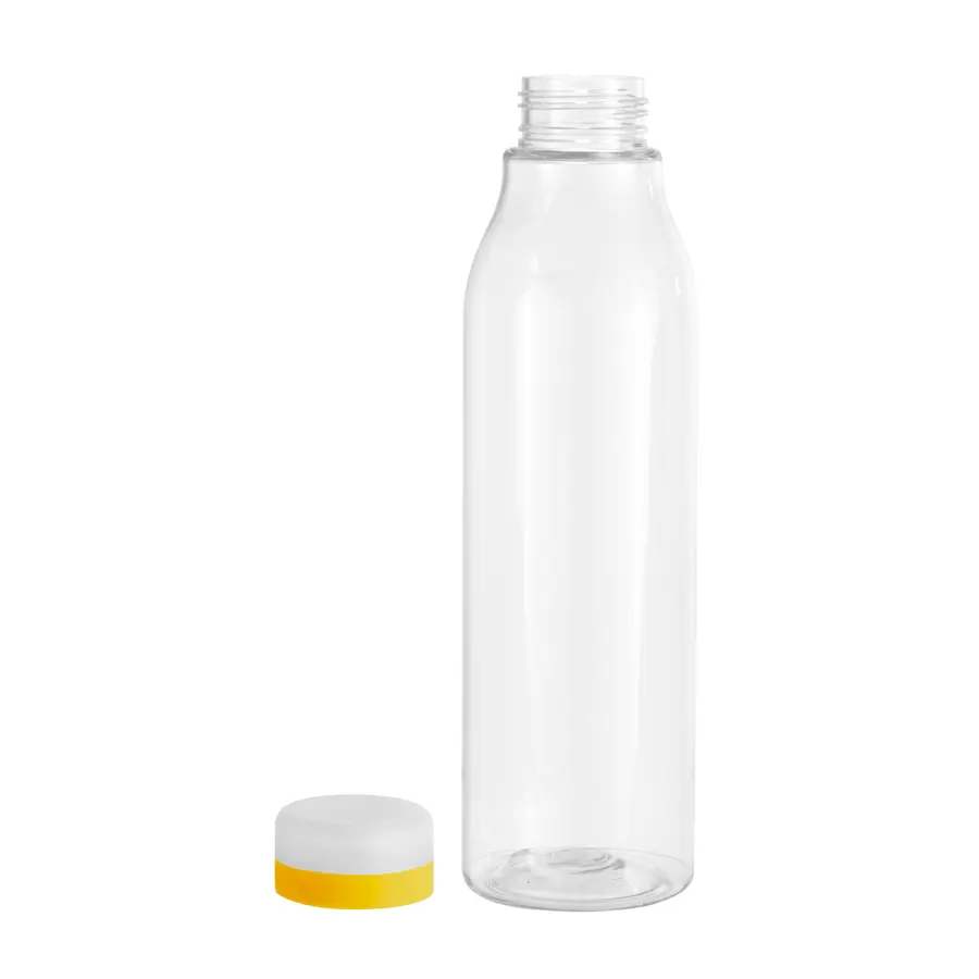 Botella "ANDINA FROST" 24