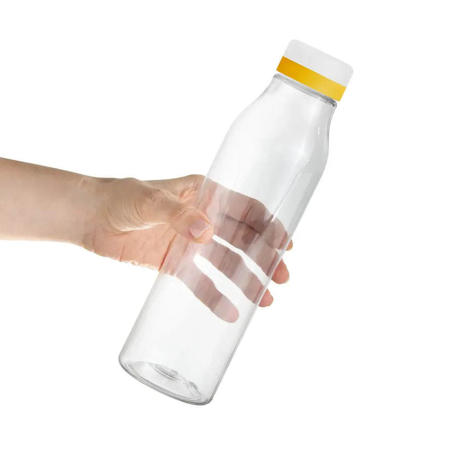 Botella "ANDINA FROST" 25