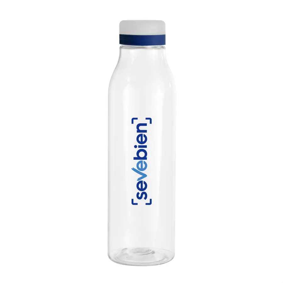 Botella "ANDINA FROST" 43