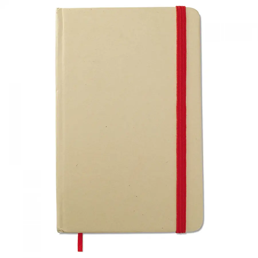 AGENDA TERRA 6