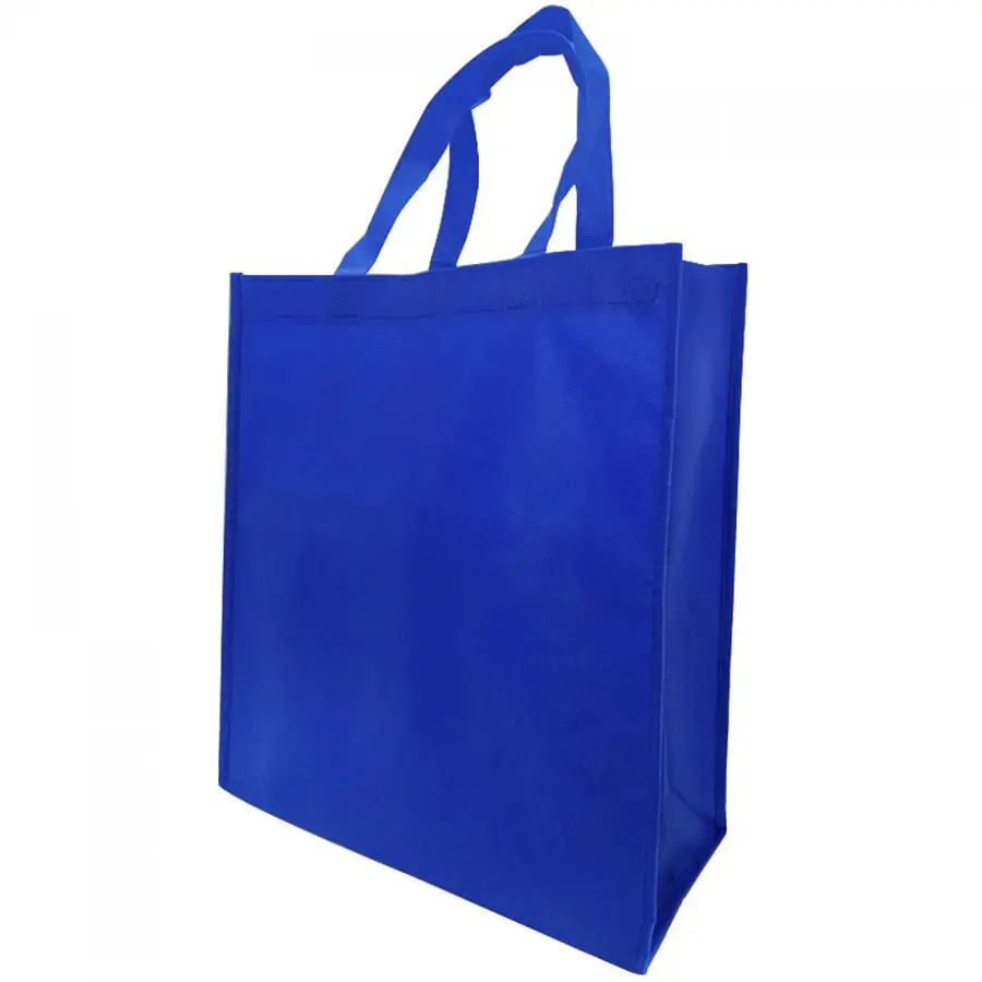 BOLSA BIGGO 2