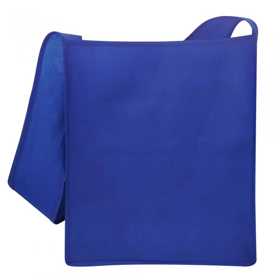 BOLSO TIPO CONGRESO 2