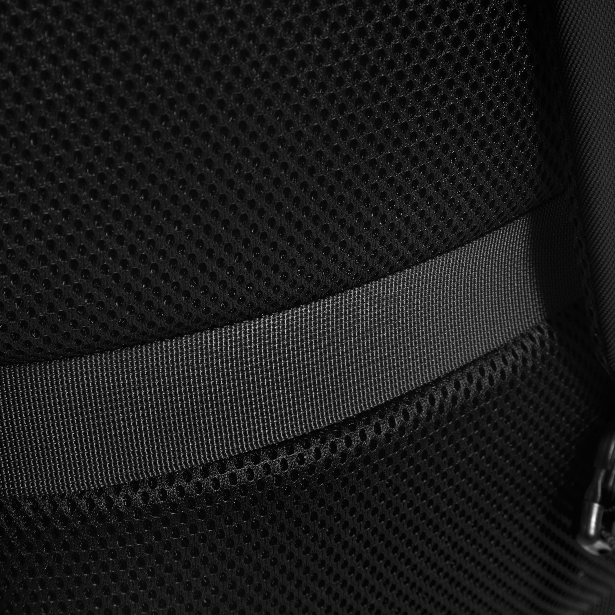 Morral Force 11 12