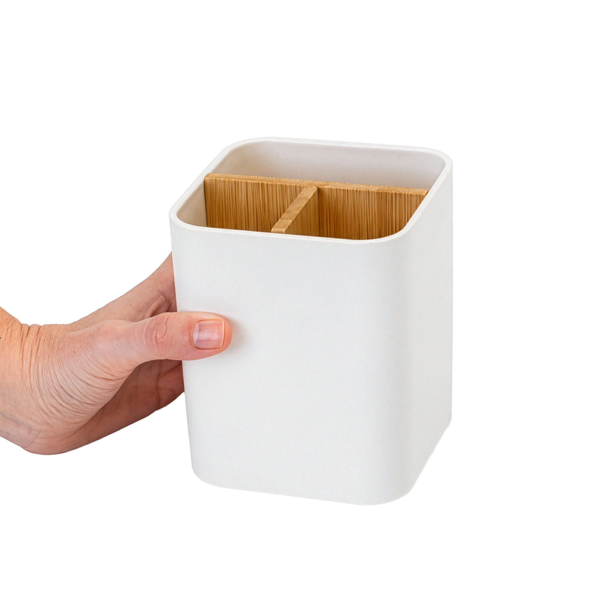 Organizador Layout 11