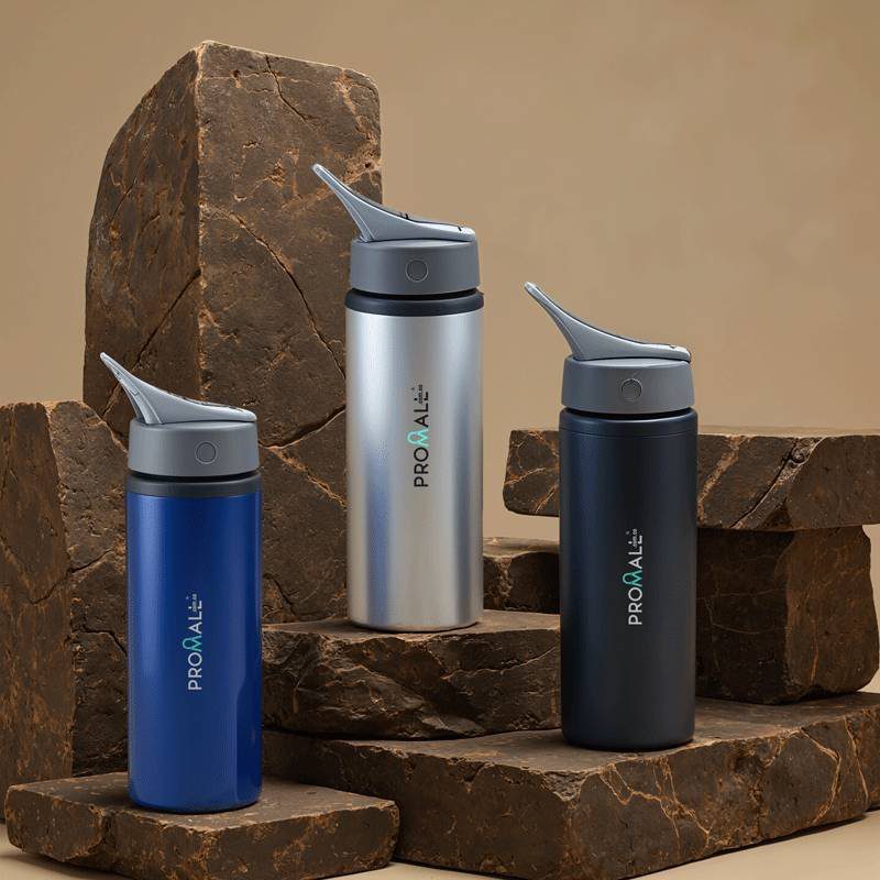 Botilito en Aluminio Parsons 700ml