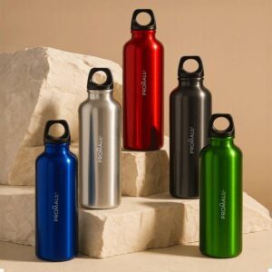 BOTELLA MURRAY 500ML