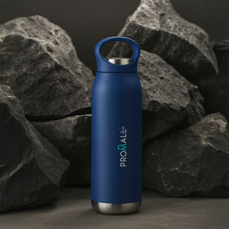 BOTELLA VACUUM "GAUDÍ"