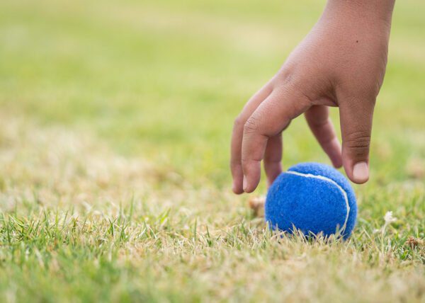 Pelota para mascotas Marley