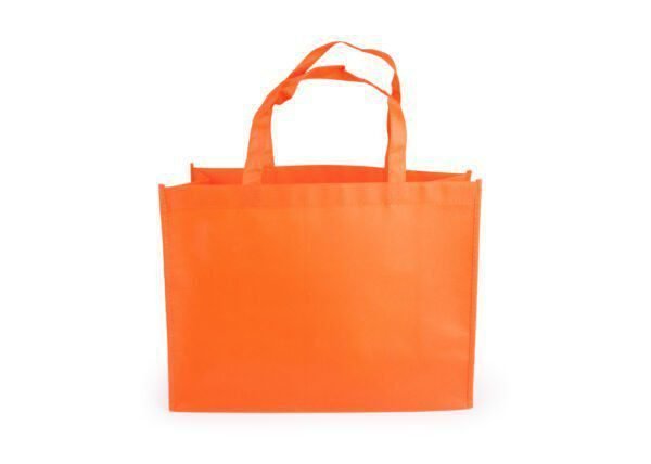 Janice Bag