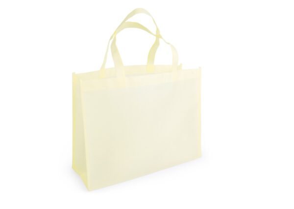 Janice Bag