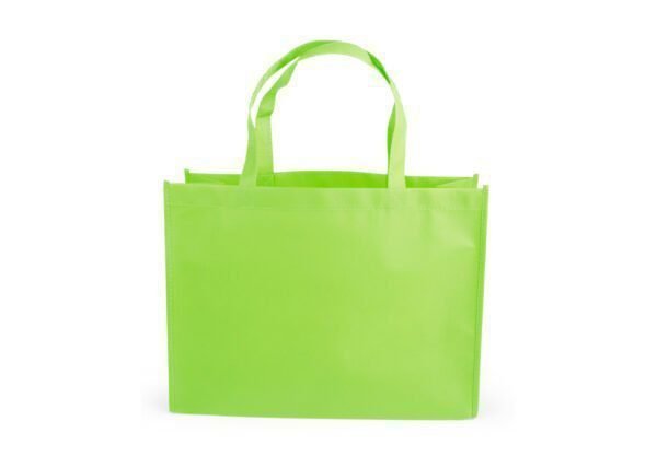 Janice Bag