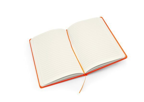 Libreta Neón