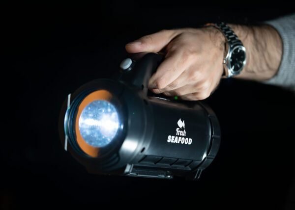 Set Linterma Car